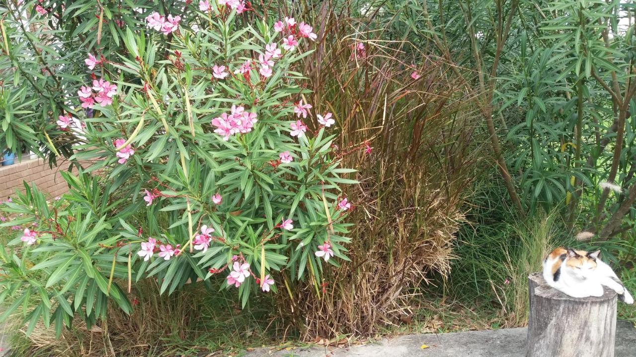 תמרין Comfy Home-Tropical Garden & 5 Min Walk To Beach מראה חיצוני תמונה