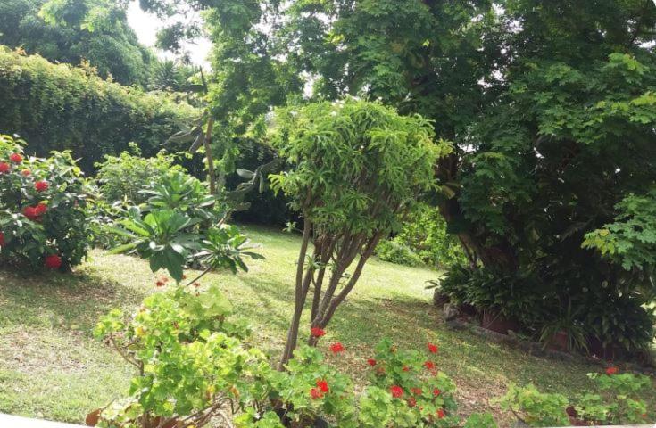 תמרין Comfy Home-Tropical Garden & 5 Min Walk To Beach מראה חיצוני תמונה