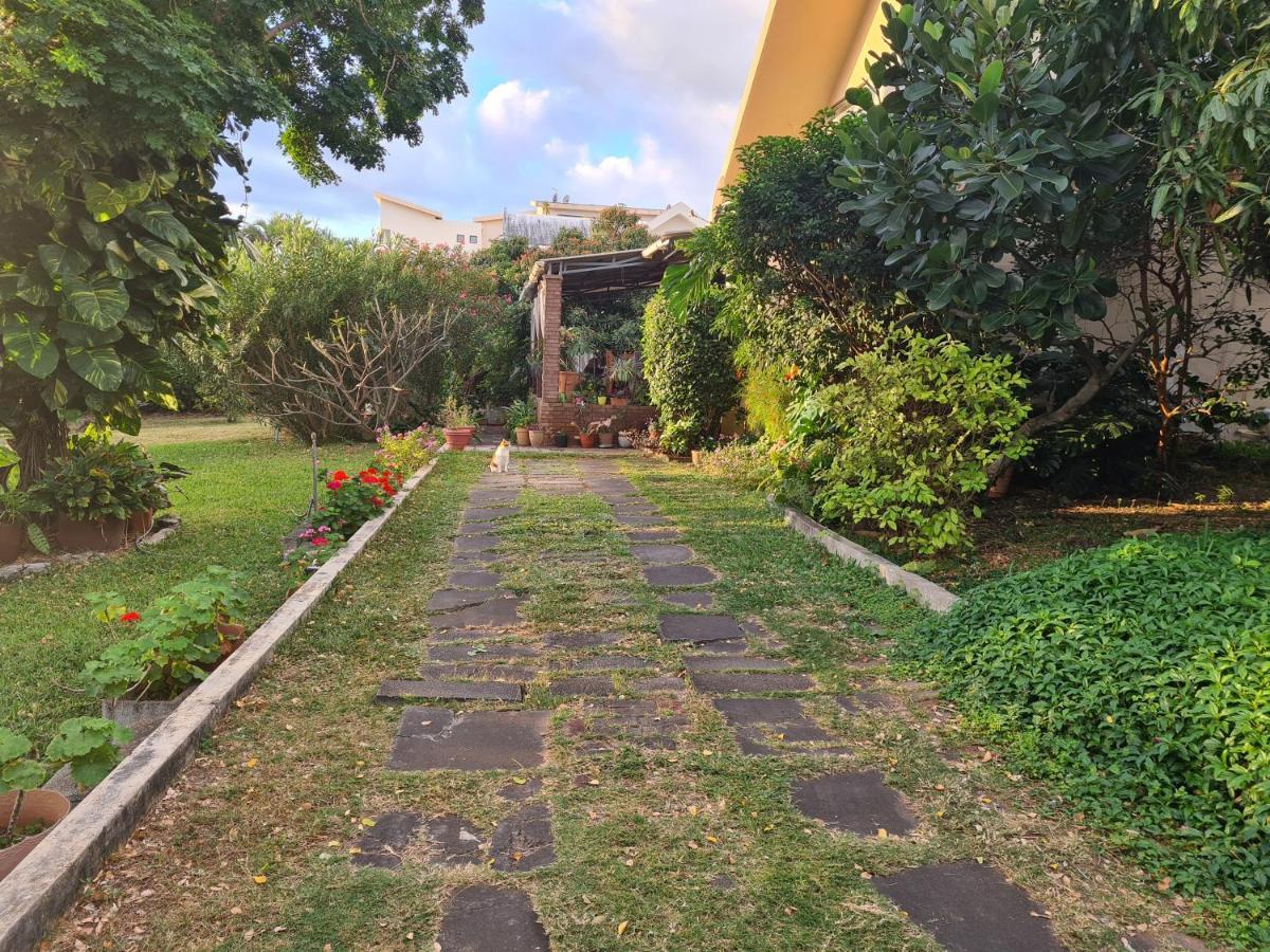 תמרין Comfy Home-Tropical Garden & 5 Min Walk To Beach מראה חיצוני תמונה